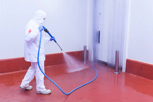 Best Residential Pressure Washing in Barboursville, WV