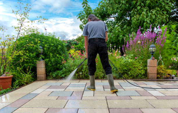 Best Soft Washing for Delicate Surfaces in Barboursville, WV