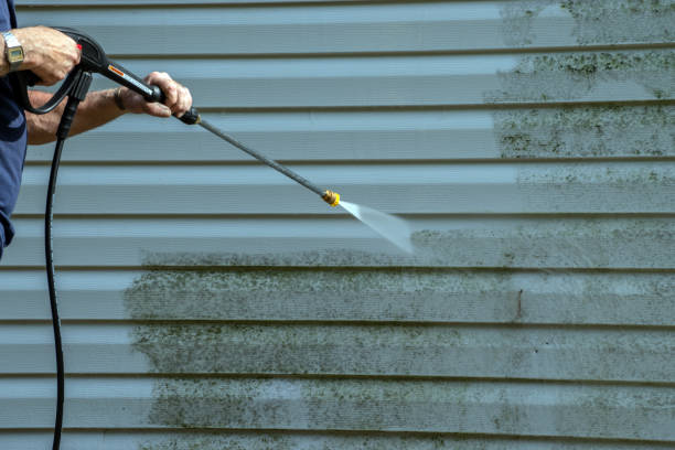 Best Window and Screen Pressure Cleaning in Barboursville, WV